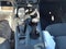 2024 Ford Ranger XLT 4WD SuperCrew 5' Box