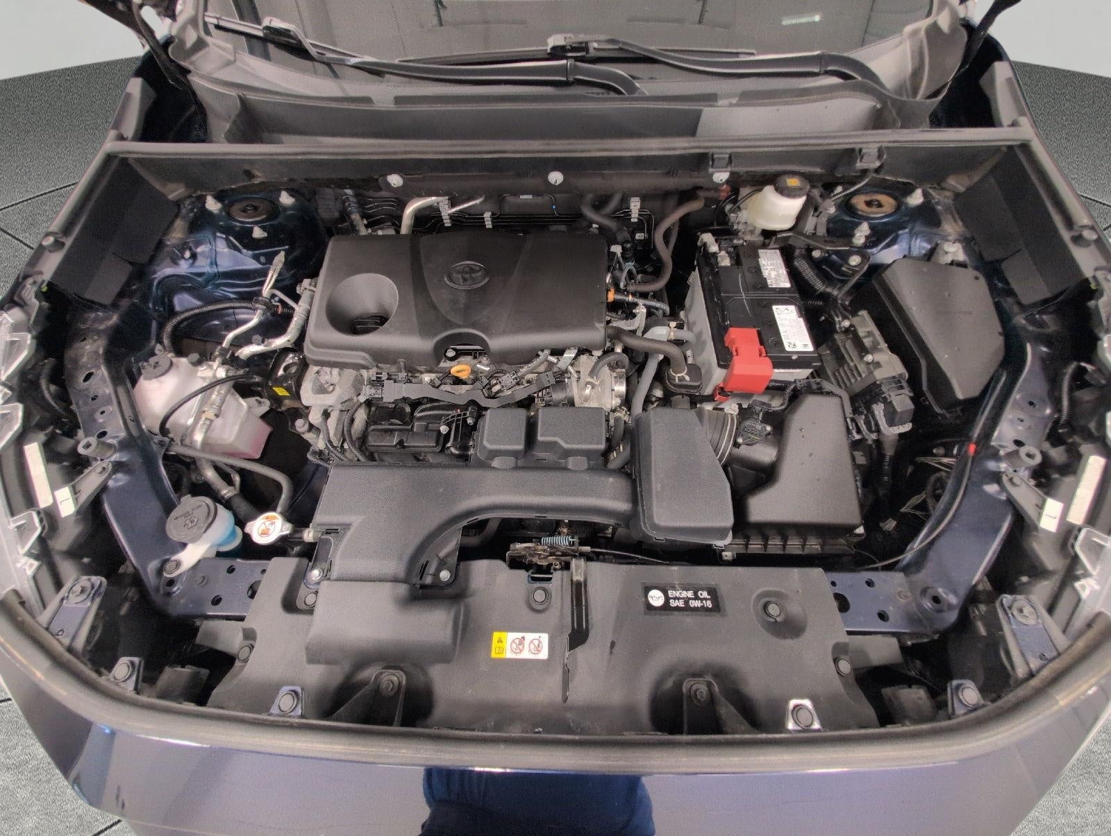 2025 Toyota RAV4 XLE AWD