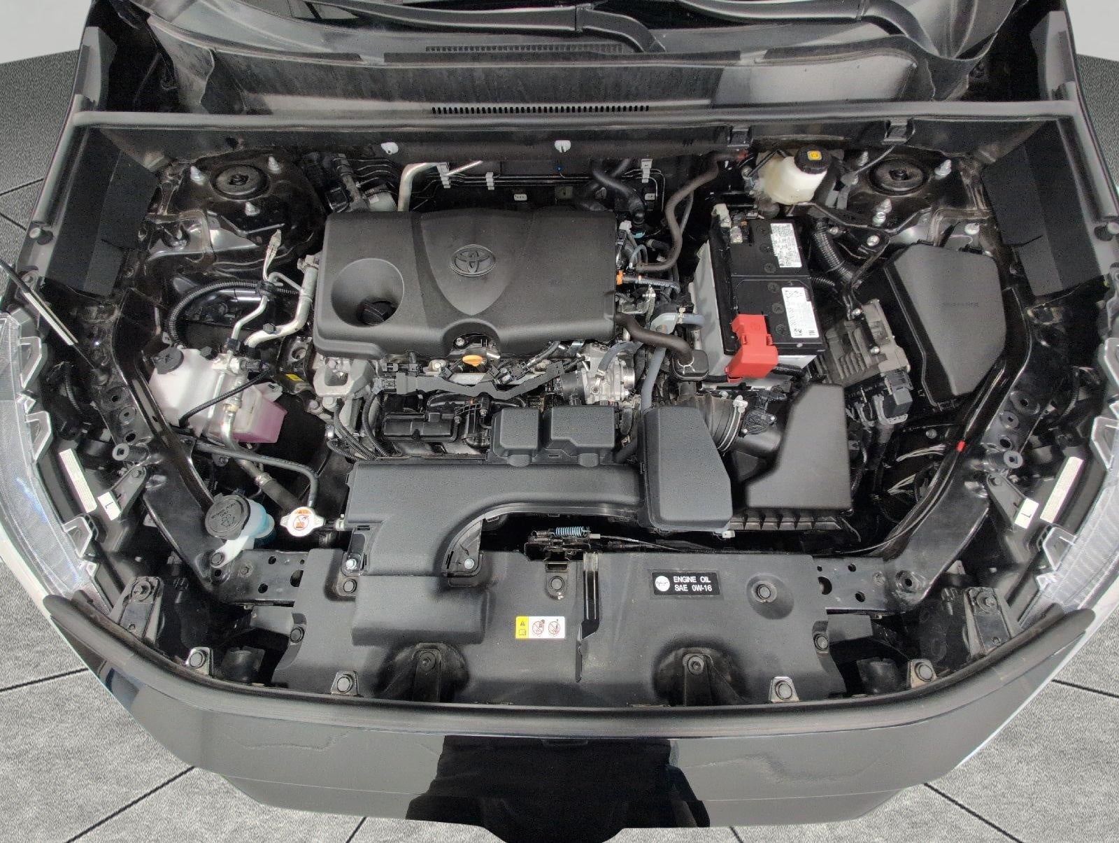 2025 Toyota RAV4 XLE AWD