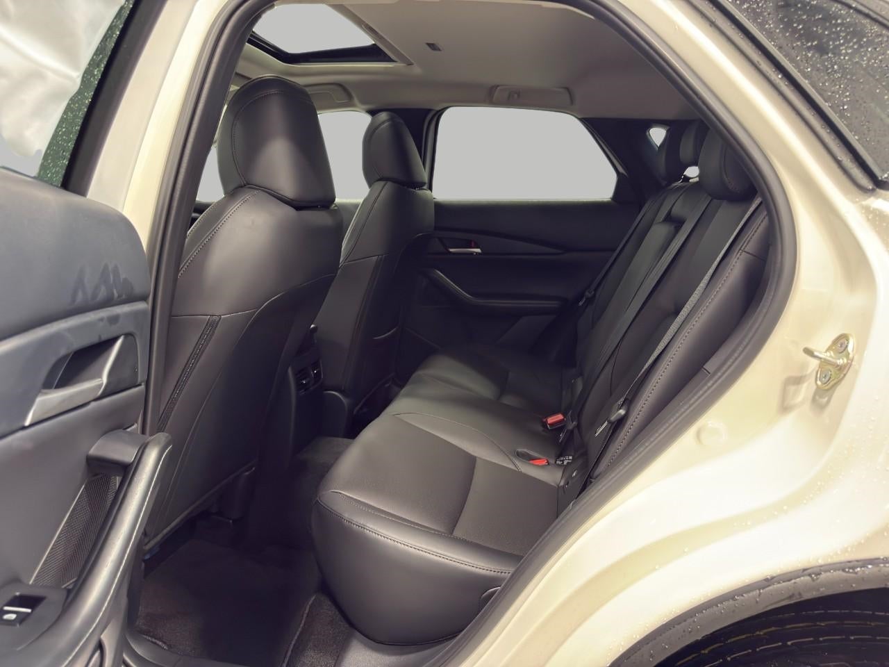 2026 Mazda Mazda CX-30 2.5 S Premium AWD