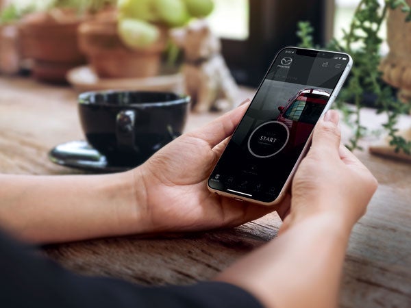 Bergstrom Mazda of Green Bay in Green Bay WI